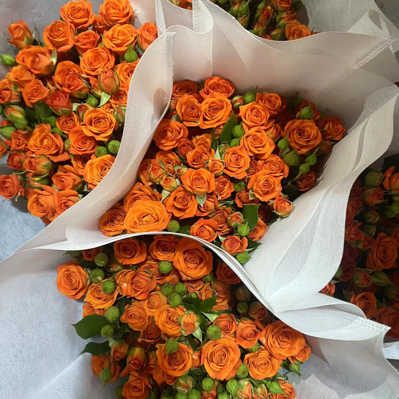 Orange Barbie